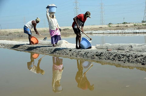 Image of salt pan workers used for representational purpose. (Photo | V Karthikalagu, EPS)