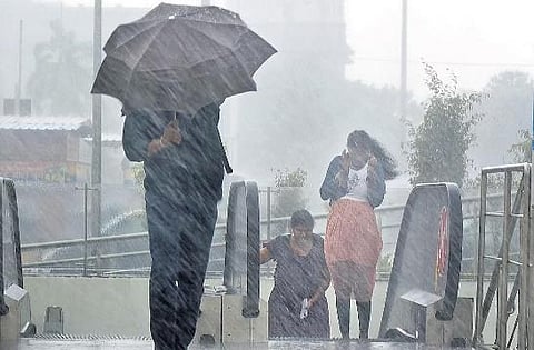 Representational Image. ​( Photo | P Ravikumar )