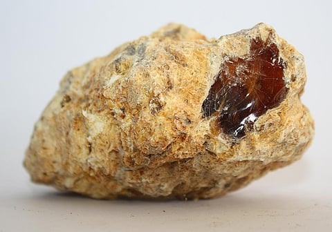 ‘Ambergris’ seized in Kerala fake, reveals DNA analysis