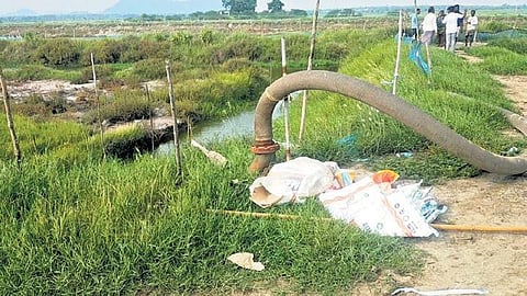 Pipes installed by prawn farms to release effluent into a nullah | Express