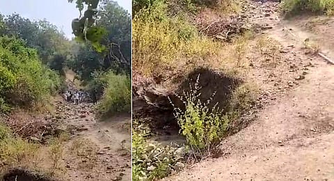 A road to an adivasi habitat in Adilabad. (Photo | Express)