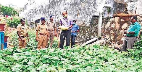 The consortium plans to use 50 cents of land inside the jail and another 50 cents outside for paddy farming.