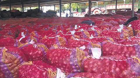 Fresh arrivals cause onion prices to cool down in Andhra Pradesh