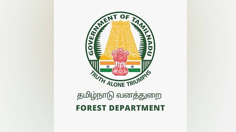 Demands not met, TN foresters say government has let them down