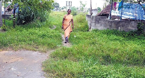 Residents of Arunthathiyar colony in Jagirmangalam village in Tiruvallur have to walk nearly a kilometre to attend nature’s call. (Photo | D Sampath Kumar)