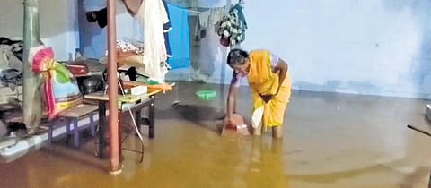 Rainwater entered more than 50 houses near Gobichettipalayam in Erode district and waterlogging was seen in agricultural lands early on Wednesday. (Photo | Express)