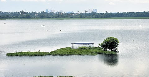 A well in Madambakkam lake | Ashwin Prasath