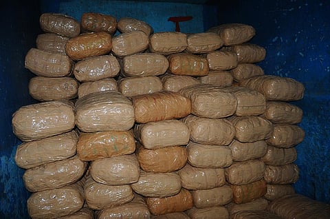 Cocaine worth Rs 220 crore seized from ship in Paradip Port