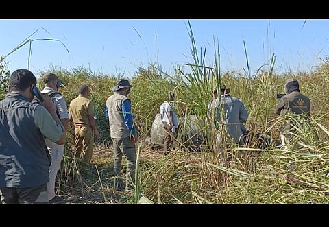 This is the second rhino to be killed in Kaziranga this year (Photo | Special arrangement)