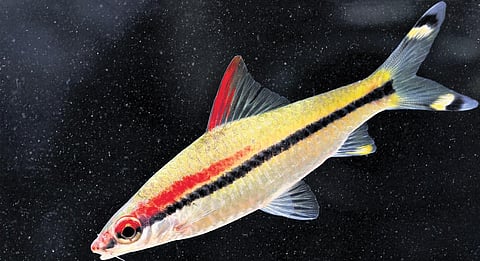 Image used for representational purposes