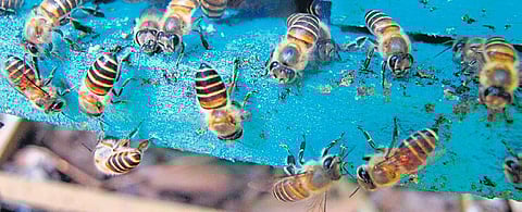 Image used for representational purpose only