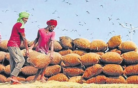 Representational Image.