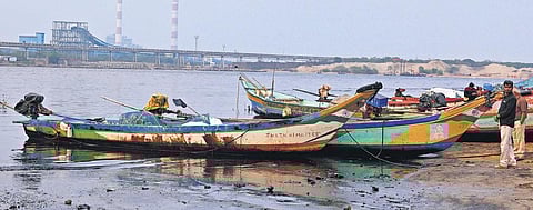 CPCL said it has taken the lead to remove the oil slick near Ennore Creek which is  10 kilometres away from its premises. (Photo | Shiba Prasad Sahu, EPS)