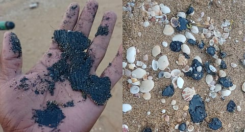 Thick tar-like oil balls along the coastline between Koraikuppam and Kattupalli. (Photo | Express)