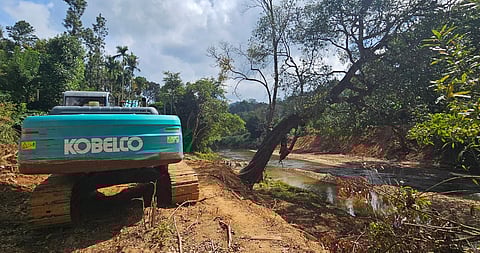 Kodagu residents oppose plan to remove trees in the name of protecting riverbanks