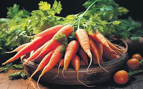 Carrots, the winter vegetable.