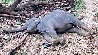 Representational Image. (File Photo | EPS)