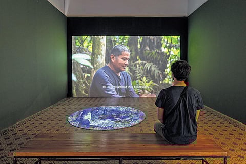 Forest Mind by Ursula Biemann.