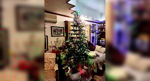 As time evolved, people’s lifestyle changed and many started opting for store-bought trees as against the old tradition of decorating live trees