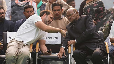 Congress leader Rahul Gandhi and NCP chief Sharad Pawar 