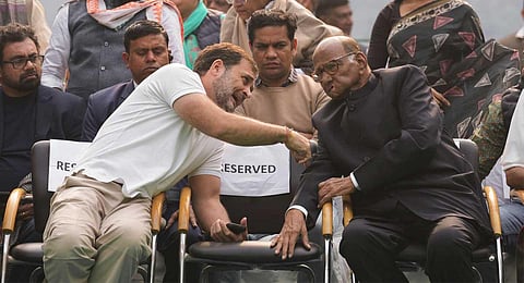 Congress leader Rahul Gandhi and NCP chief Sharad Pawar during a protest of Indian National Developmental Inclusive Alliance (INDIA) at Jantar Mantar, in New Delhi, Friday, Dec. 22, 2023. (PTI)