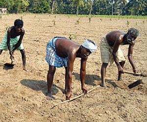 Image used for representational purpose only.