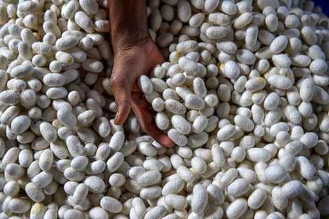 Image used for representational purpose.