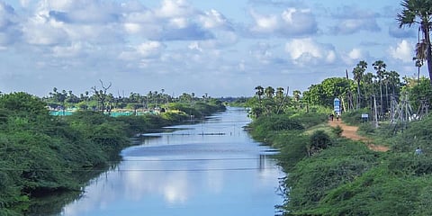 Buckingham Canal near Ongole