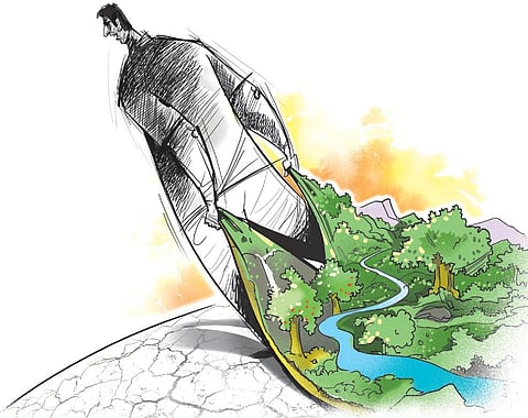 Karnataka in 2023: Environment sector, like different shades of forest