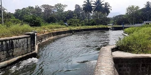 Farmers plea for water release from PAP to Vattamalai Dam