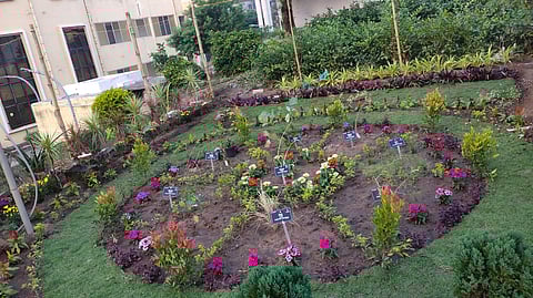 Nilachakra Nabagraha garden developed at Harishankar temple in Puri. (Photo | Express)