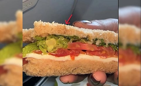 The woman passenger Kushboo Gupta shared on Instagram a short video of the worm in the sandwich on board the flight.