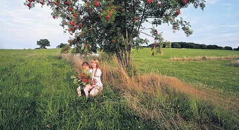 Sowing seeds of hope