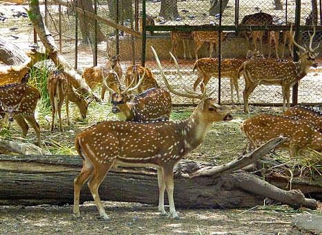 Image used for reresentational purposes.