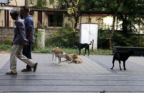 Image used for representational purpose.