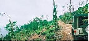 Urumbikkara hills