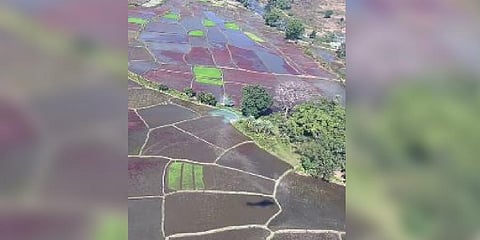 Odisha: Soil testing team of AP forced to leave Kotia