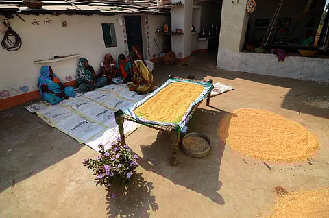 A village comprising of the Sahariya tribe in Sheopur District, Madhya Pradesh. (Photo | EPS)