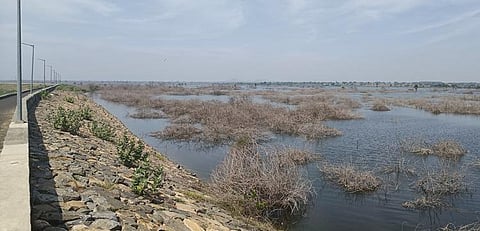 Marudaiyaru river has been the main source of water for Perambalur residents | Express