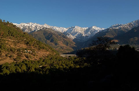 The melodious notes of babbling brooks and rainbow world of wildflowers give the greener-than-envy fields of Palampur in Himachal Pradesh an ‘Alice in Wonderland’ charm. (Photo | Wikimedia Commons)