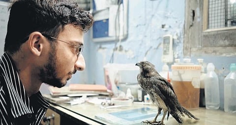 All That Breathes...