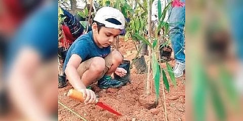 For reprentational purpose