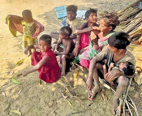 Janaki Dehuri with her children under the mango tree in Demiria village