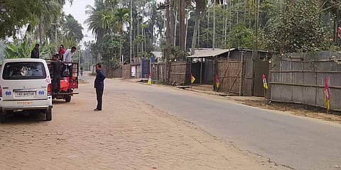 A view of tribal village Mandwi where flags of TIPRA Motha are planted by the roadside. (Photo | Special Arrangement)