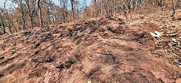 Pillow lava formations at Nomira village