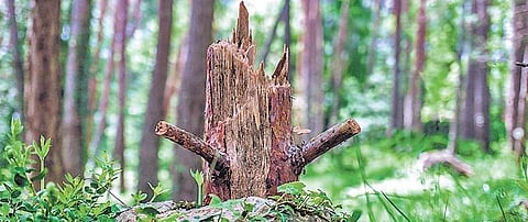 Image for representational purpose