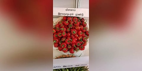 Ramanathapuram Mundu chilli to be conferred GI tag