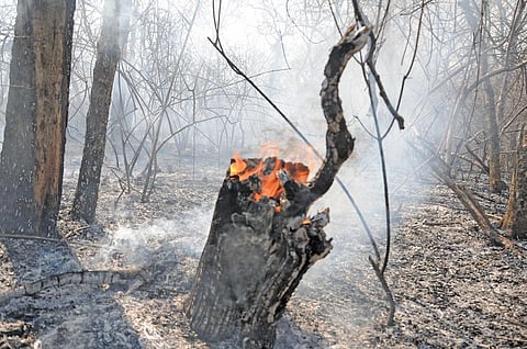 Drawing lines, fighting fires