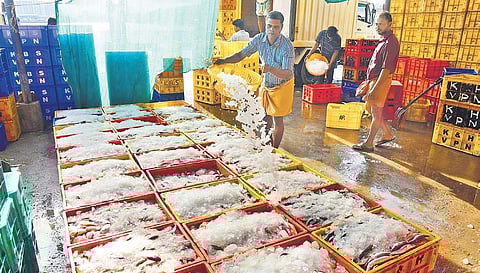 Representational Image| Albin Mathew