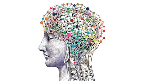 Image used for representation.